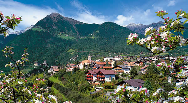 Dorf Tirol mit Frühlingsblüte